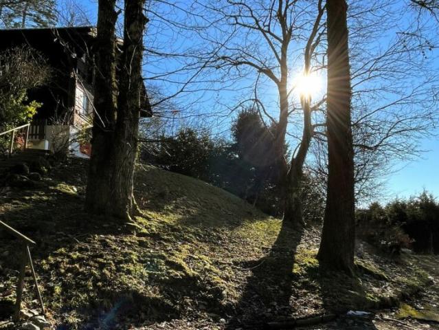 Reihenfamilienhaus kaufen in Cheseaux-Lausanne, Waadt