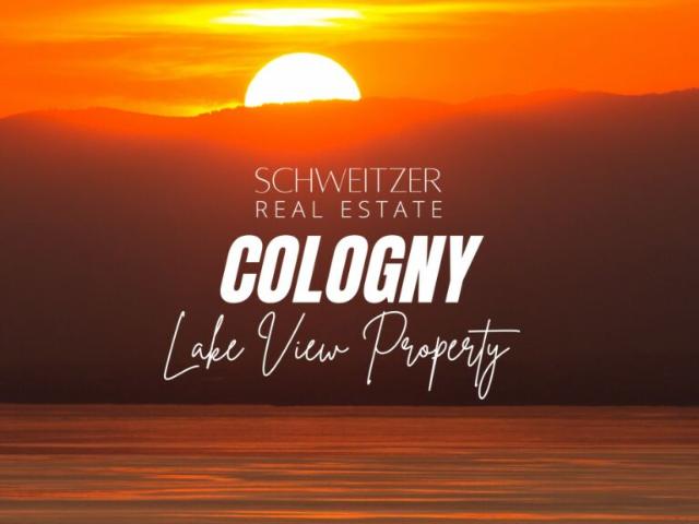 Einfamilienhaus kaufen in Cologny