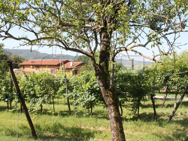 Villa Indipendente in vendita a Brendola, Veneto
