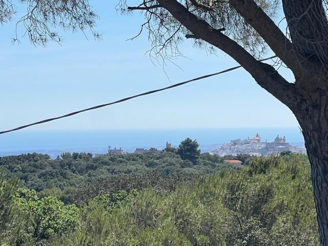Villa Indipendente in vendita a Contrada Badessa, Puglia