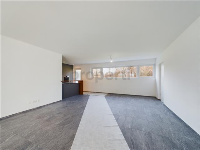 Einfamilienhaus kaufen in Bioggio, Tessin