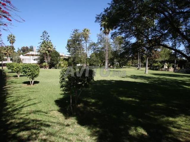 Local commercial location à Rbat