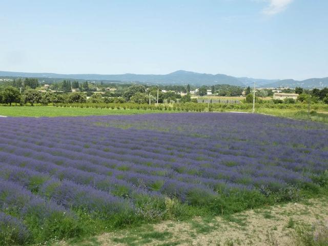 Villa vente à Carpentras, Valréas