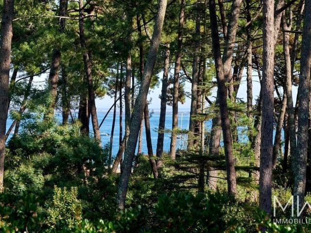 Villa location à Arcachon, Lège-cap-ferret