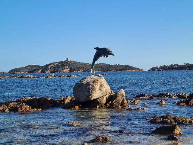 Villa vente à Sartène, Porto-vecchio