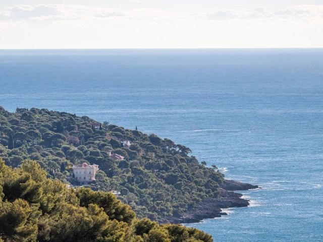 Villa vente à France métropolitaine, Roquebrune-cap-martin