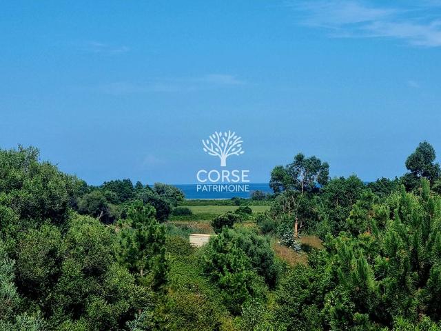 Villa vente à Corte, Solaro