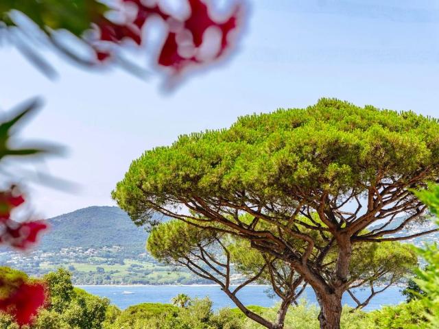 Villa vente à Arrondissement de Draguignan, Gassin