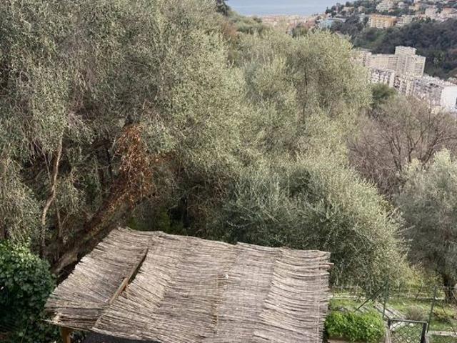 Villa vente à Nice