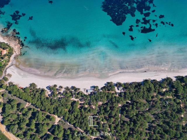 Villa vente à Sartène, Zonza