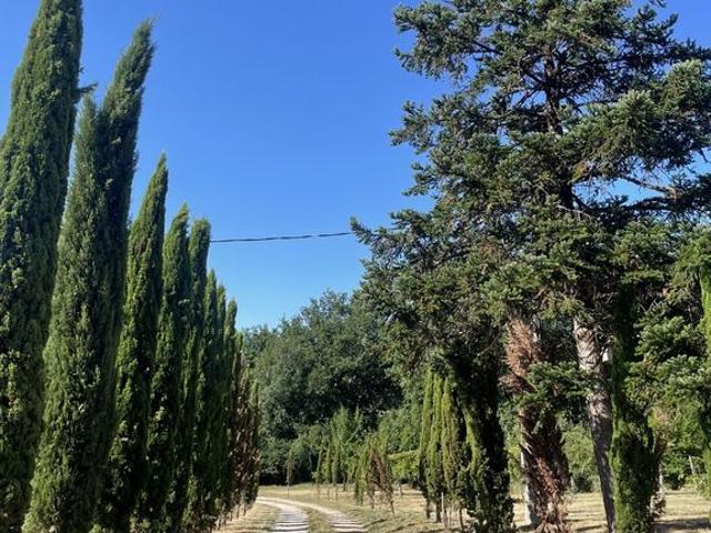 Villa vente à Langon, Sigalens