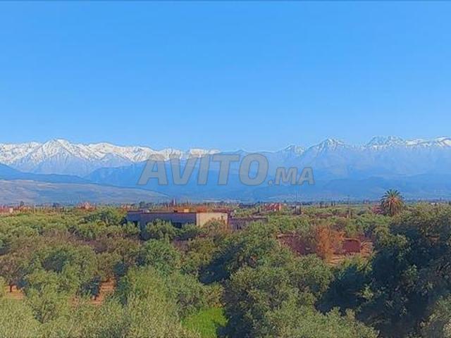 Propriété vente à Al Haouz, L'Oriental