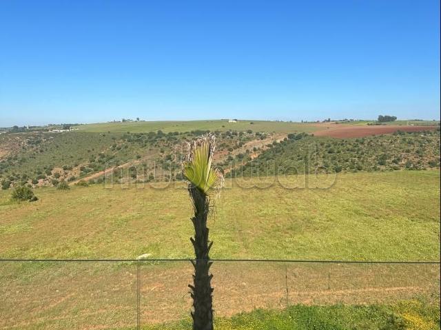 Villa vente à El Menzeh
