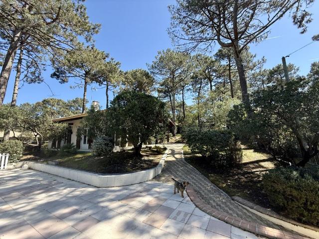 Villa vente à Arcachon, Lège-cap-ferret
