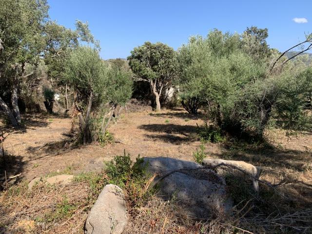 Villa vente à Sartène, Sotta