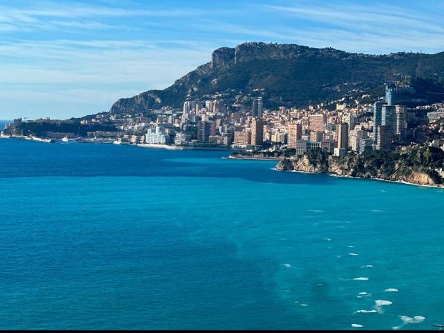 Villa vente à France métropolitaine, Roquebrune-cap-martin