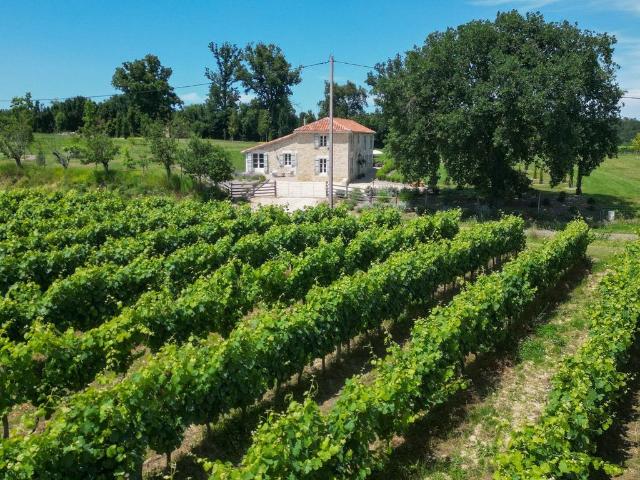 Villa vente à Condom