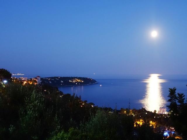 Villa vente à France métropolitaine, Roquebrune-cap-martin