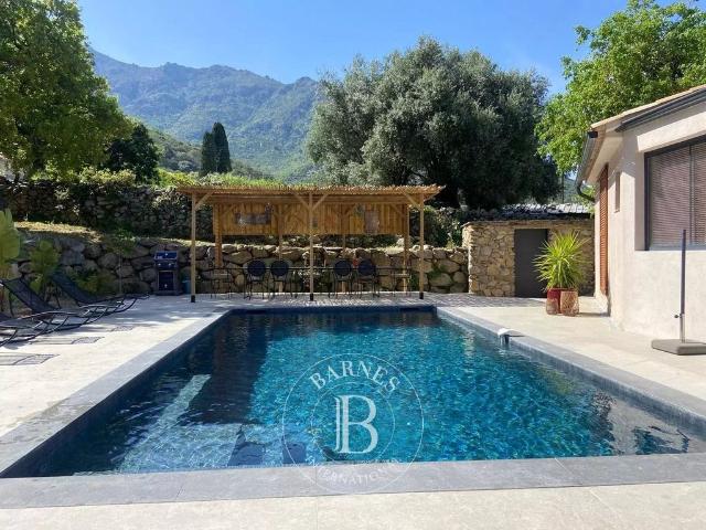 Villa vente à Calvi