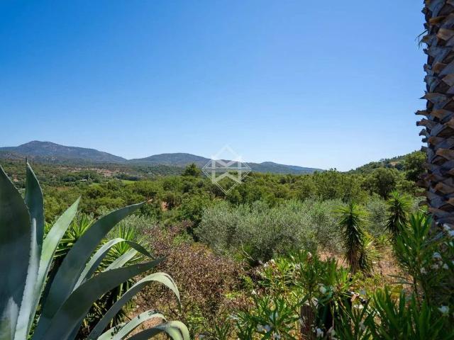 Villa vente à Arrondissement de Draguignan, Plan-de-la-tour