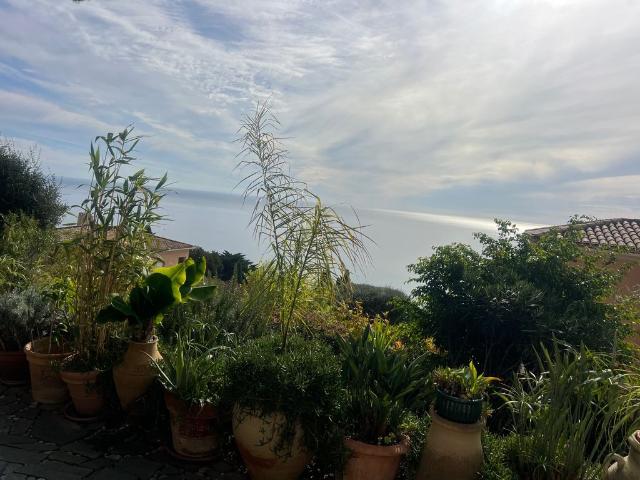 Villa vente à France métropolitaine, Menton