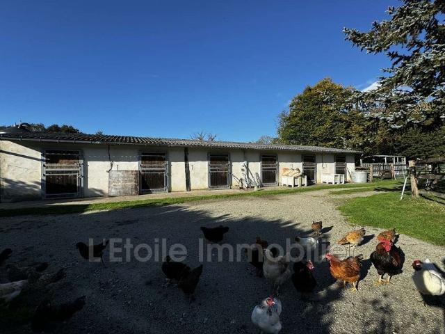 Villa vente à Mortagne-au-Perche, Moulins-la-marche