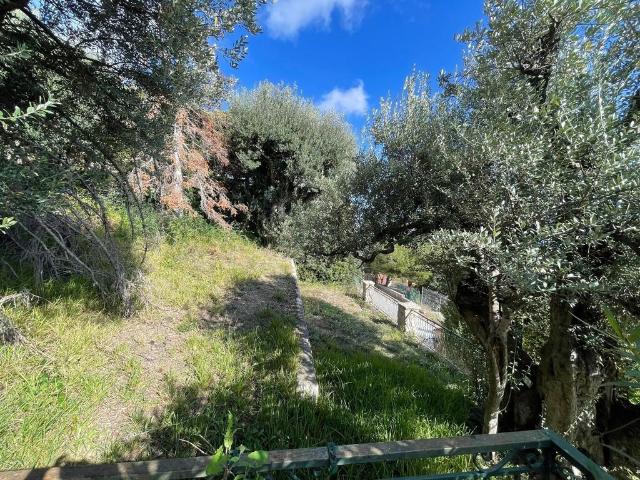 Villa vente à Nice, Roquebrune-cap-martin