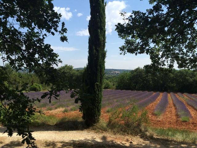 Villa vente à Nyons, Grignan