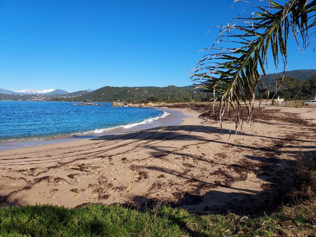 Villa vente à Ajaccio, Coti-chiavari