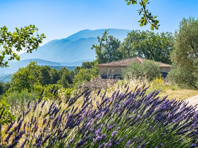 Villa vente à Carpentras, Entrechaux