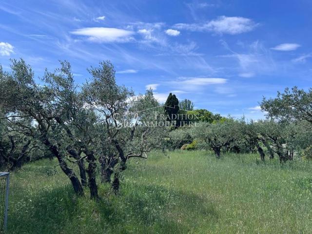Villa vente à Arles, Paradou