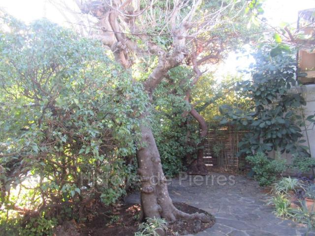 Villa vente à Arrondissement de Draguignan, Cavalaire-sur-mer