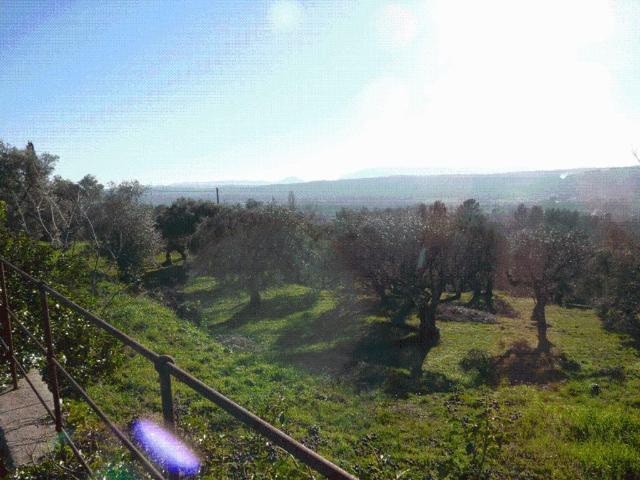 Villa vente à Arrondissement de Draguignan, Fayence