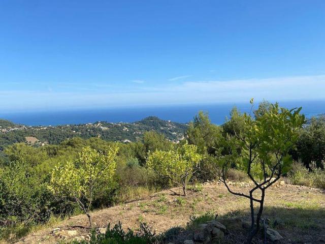 Villa vente à Nice, Menton
