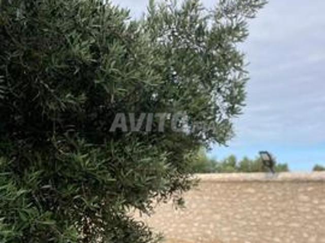 Propriété vente à Agadir, Oued ed Dahab-Lagouira