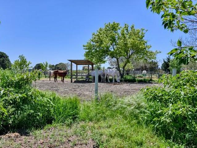 Villa vente à Montpellier