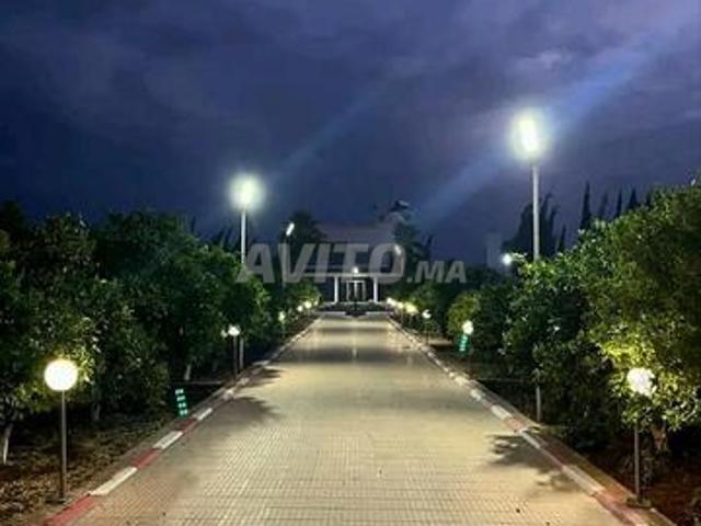Propriété vente à Mellal