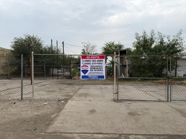 Terreno en renta en Mexicali, Baja California
