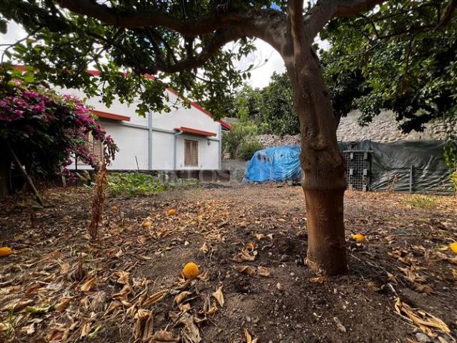 Villa Indipendente in vendita a Calabria, Reggio Calabria