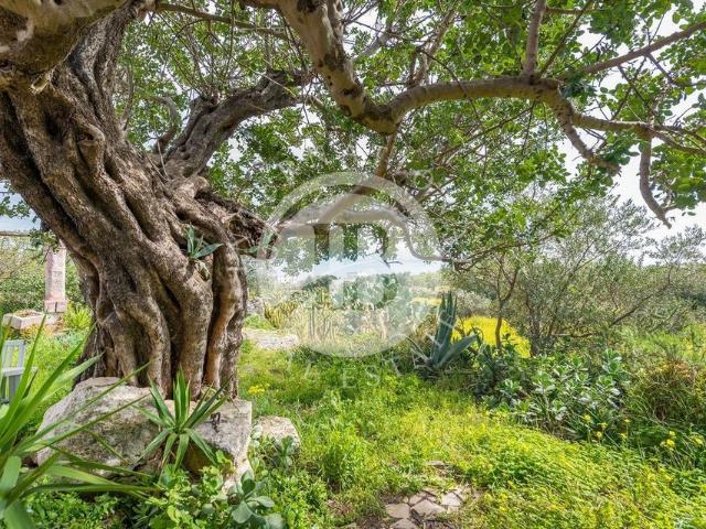 Villa Indipendente in vendita a Puglia, Brindisi