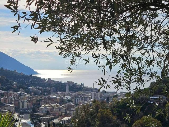 Villa Indipendente in vendita a Polanesi, Recco