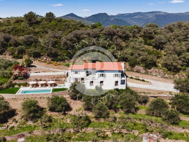Villa Indipendente in vendita a Dolceacqua, Liguria