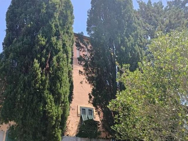 Villa Indipendente in vendita a Località Fontanelle, Rosignano Marittimo