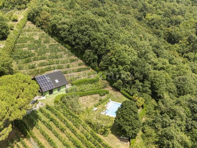 Villa Indipendente in vendita a Scanzorosciate, Lombardia