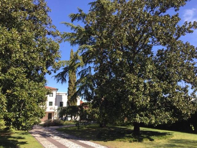 Villa Indipendente in vendita a Motta Di Livenza, Veneto