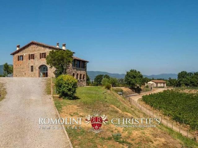 Villa Indipendente in vendita a Montevarchi, Toscana