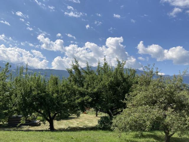 Wohnung kaufen in Mils, Tirol