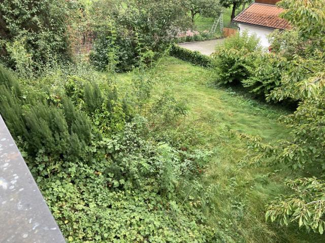 Wohnung kaufen in Mils, Tirol