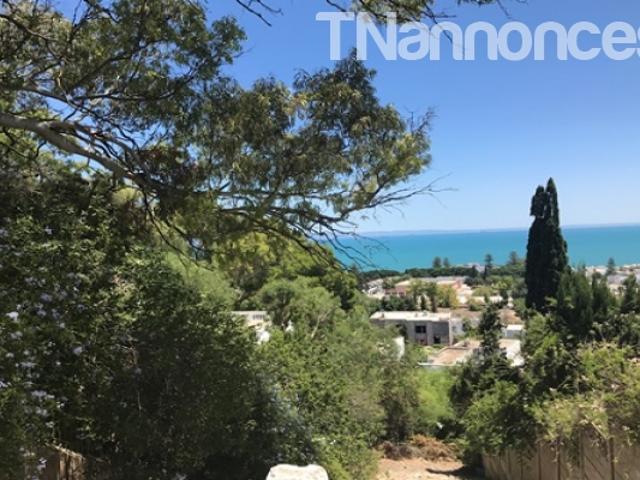 Maison location