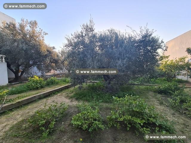 Maison location à Nabeul